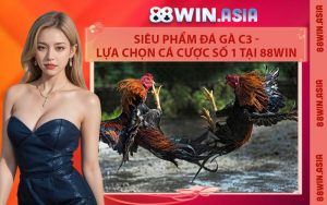 Siêu Phẩm Đá Gà C3 - Lựa Chọn Cá Cược Số 1 Tại 88WIN