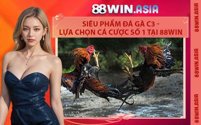 Siêu Phẩm Đá Gà C3 - Lựa Chọn Cá Cược Số 1 Tại 88WIN